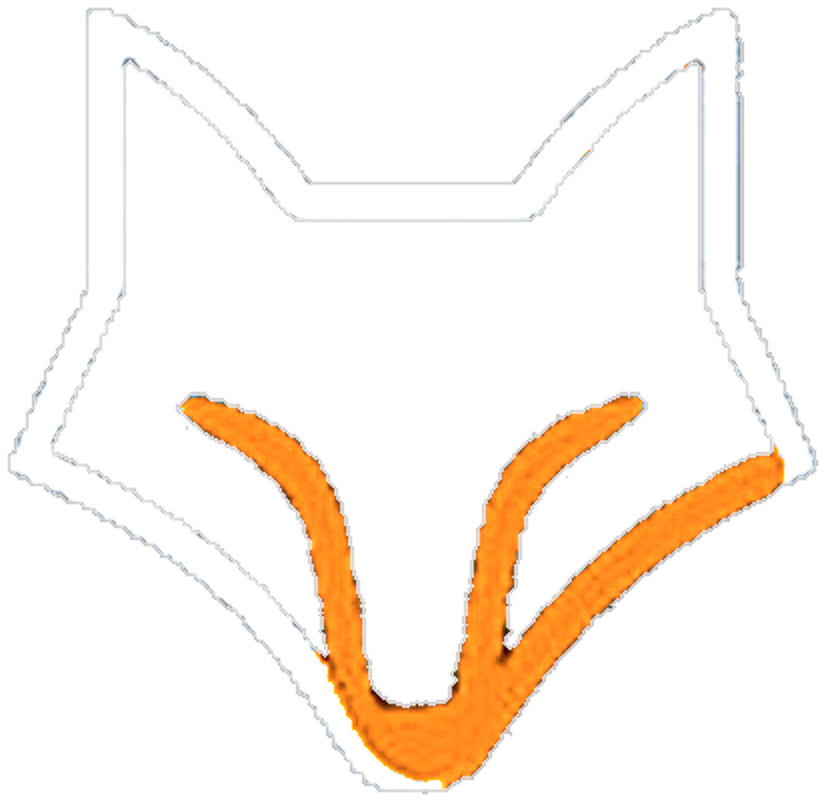 SmartFox Technologies